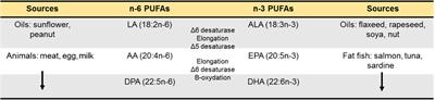 Food for Mood: Relevance of Nutritional Omega-3 Fatty Acids for Depression and Anxiety